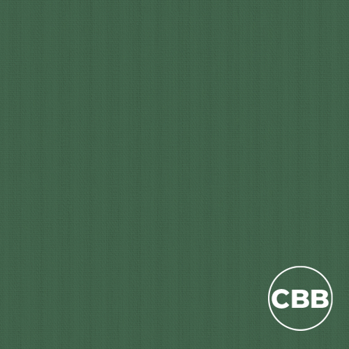 CACTICBB VIBE CACTI COLOUR BACKED BLACKOUT